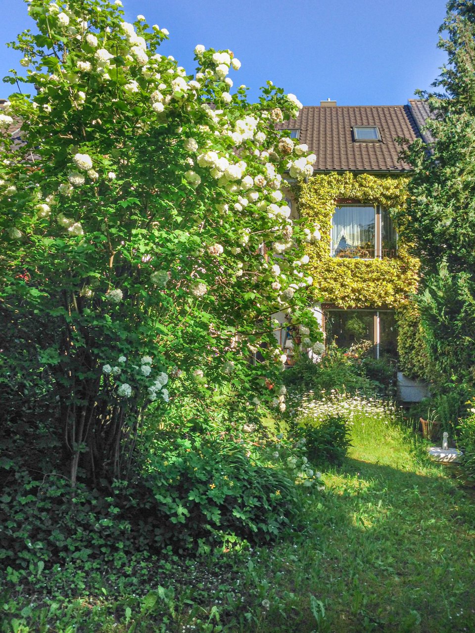 Augsburg: Romantisches Reihenmittelhaus in top Lage in Hochzoll-Nord / großes Grundstück mit Garage / Renovierungsbedarf 