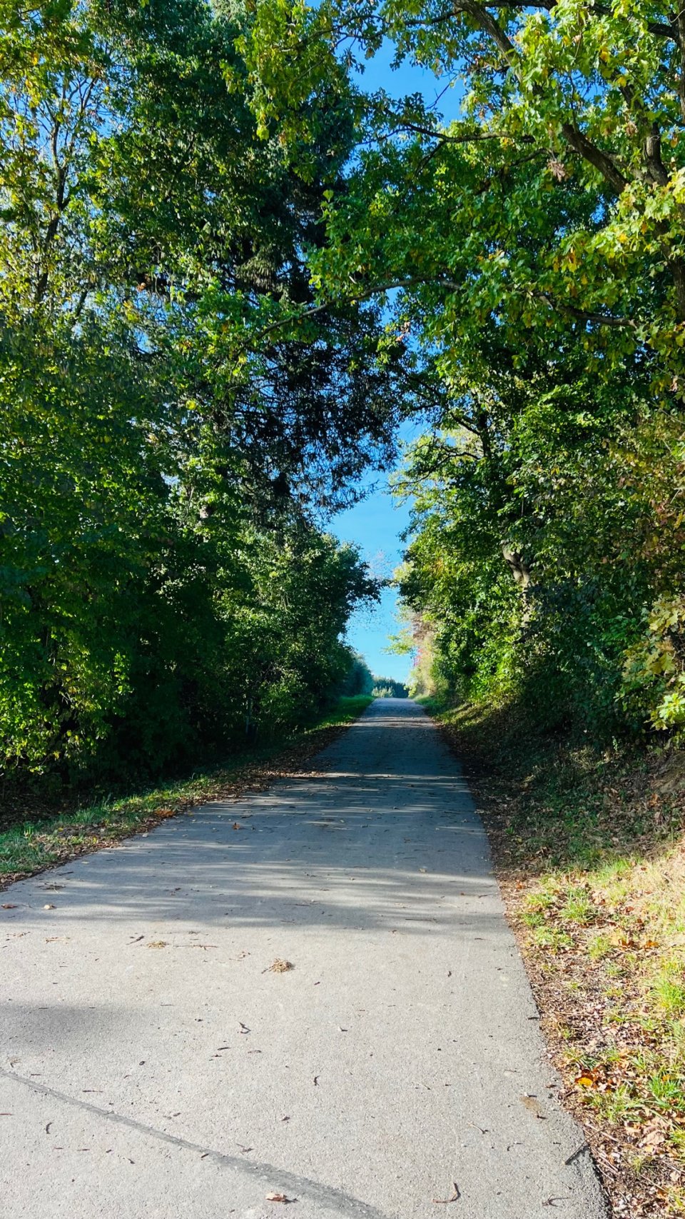 Wander- und Radwege Wander- und Radwege