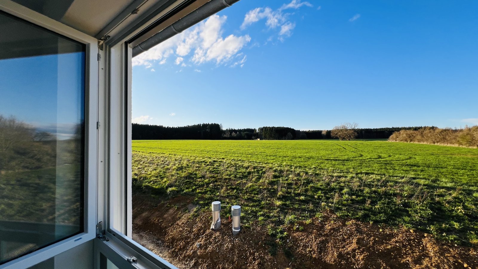Waldblick Waldblick