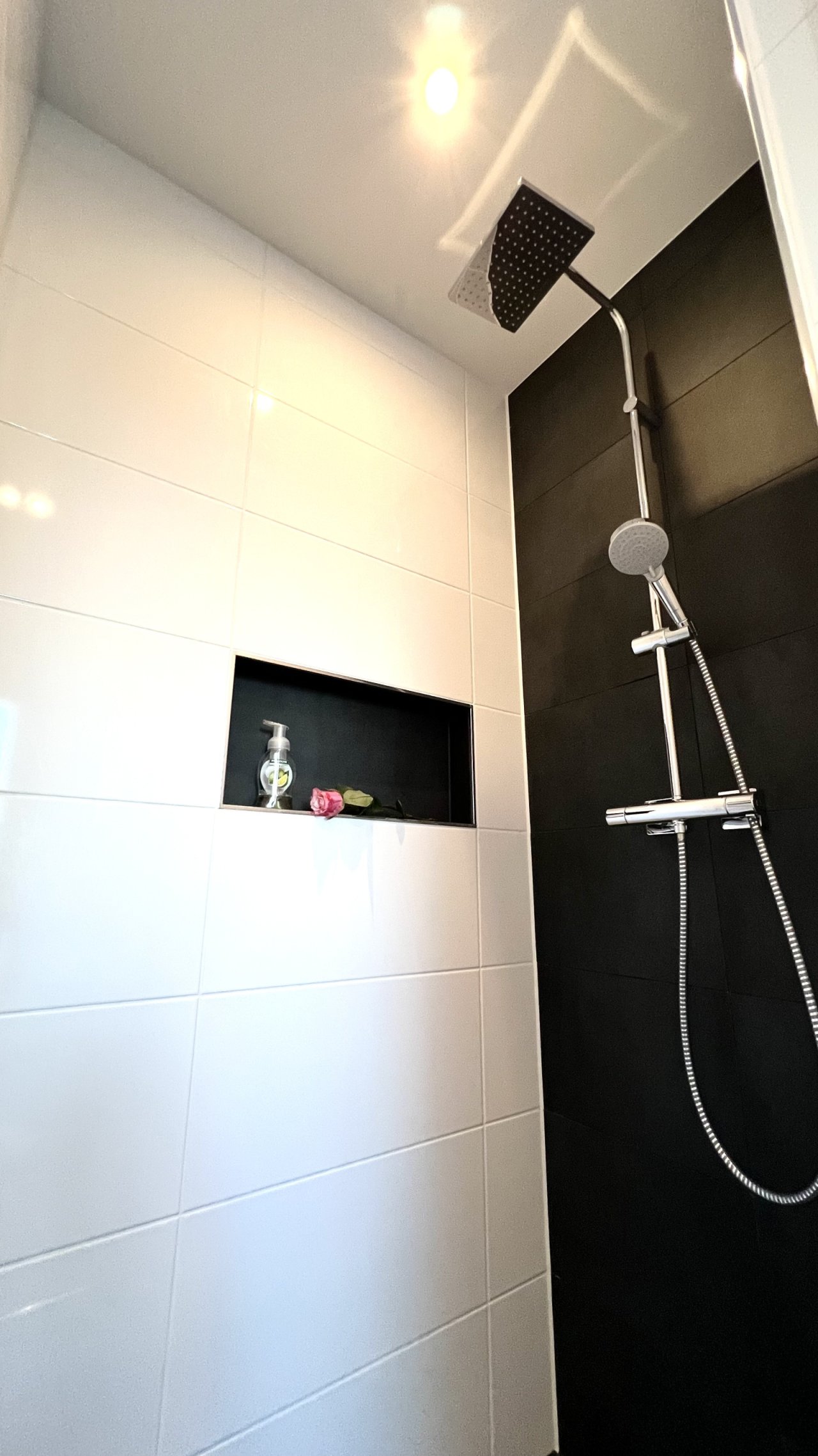 Wellness-Dusche mit Shampooniesche Wellness-Dusche mit Shampooniesche