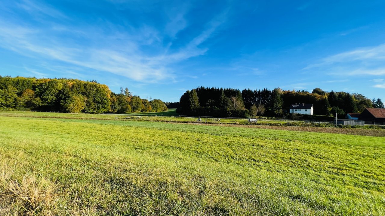 nahe Umgebung