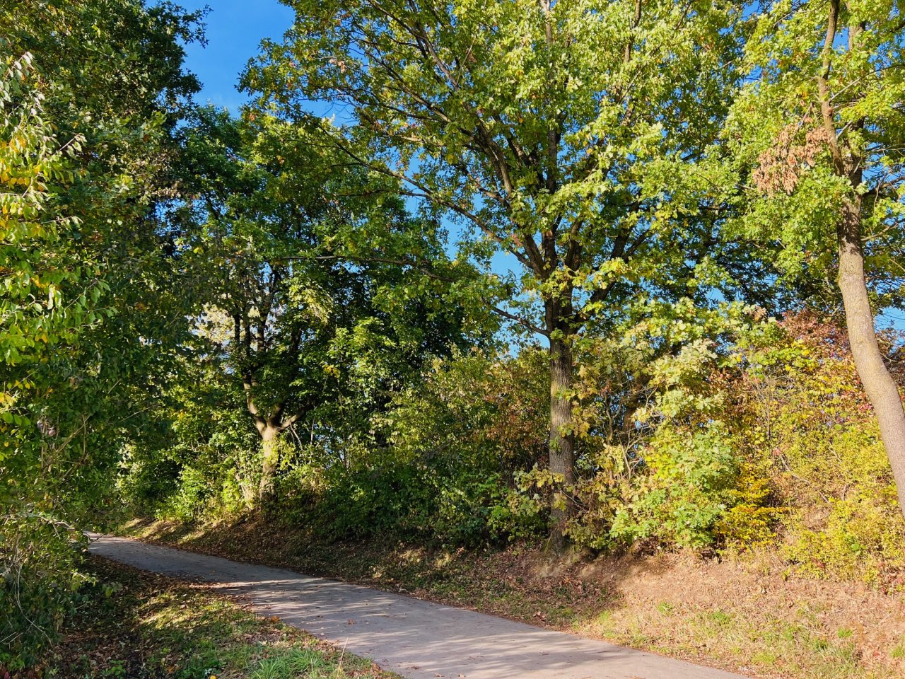 Radwege Richtung Wälder