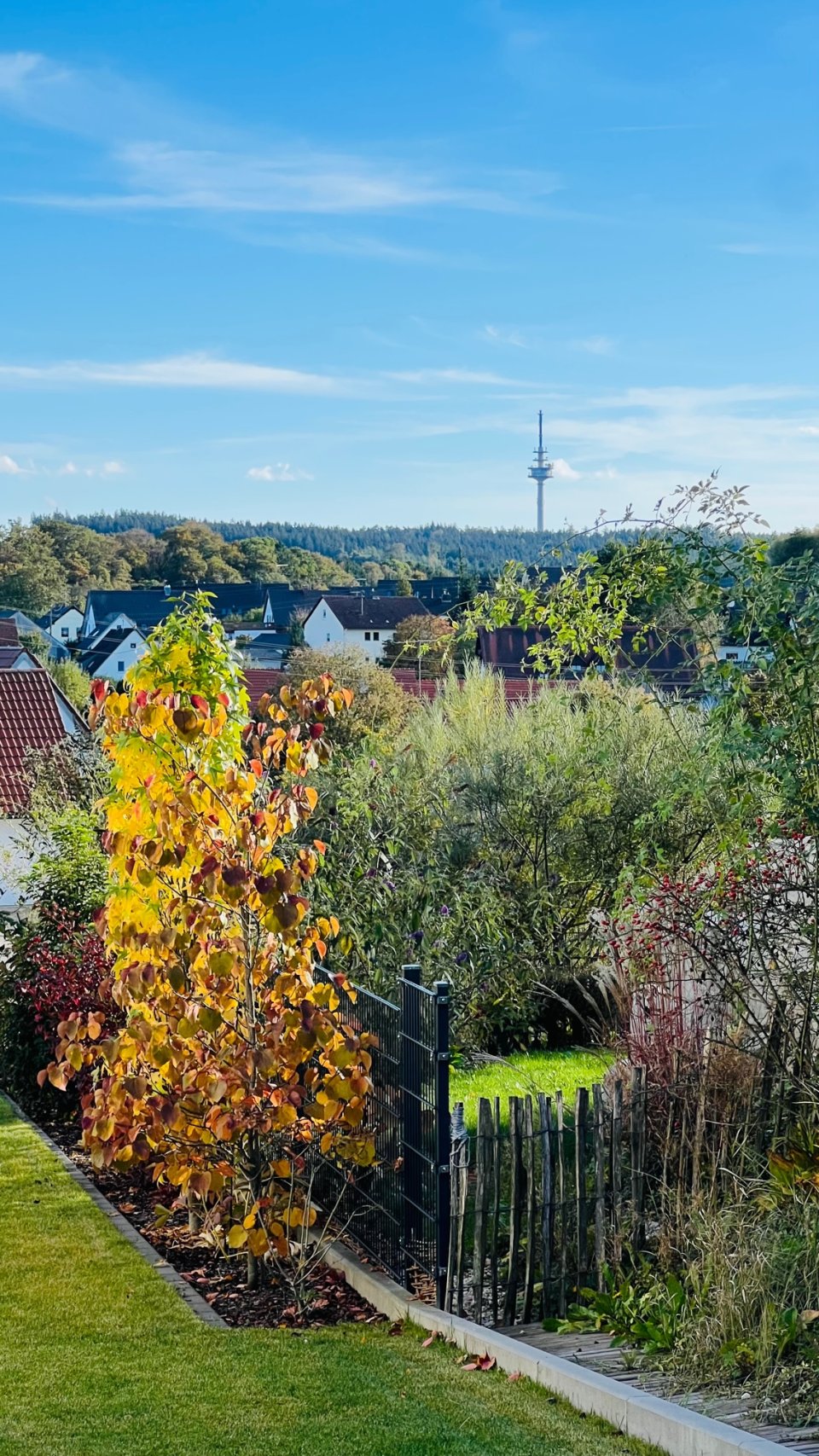 Tolle Umgebung mit viel Natur