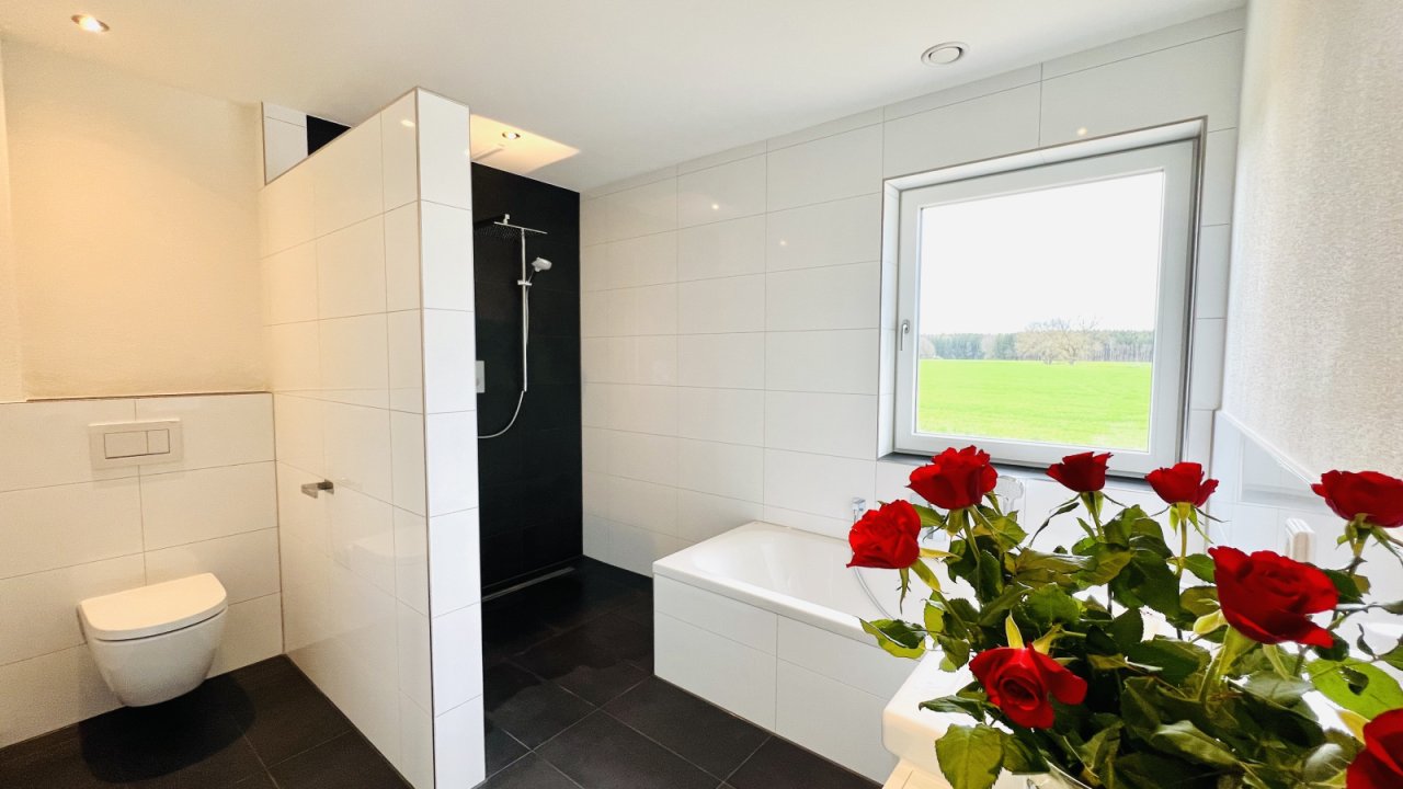 Blick Richtung Wälder